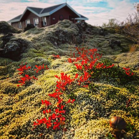 House In Lava Borgarnes Exterior foto