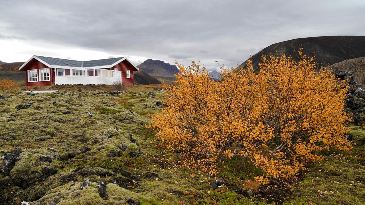 House In Lava Borgarnes Exterior foto